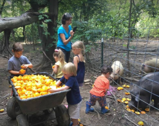 volunteers with produce