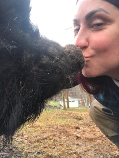 Rhett (or Scarlet - not sure which is which!) gets a smooch from mom Rhett (or Scarlet - not sure which is which!) gets a smooch from mom