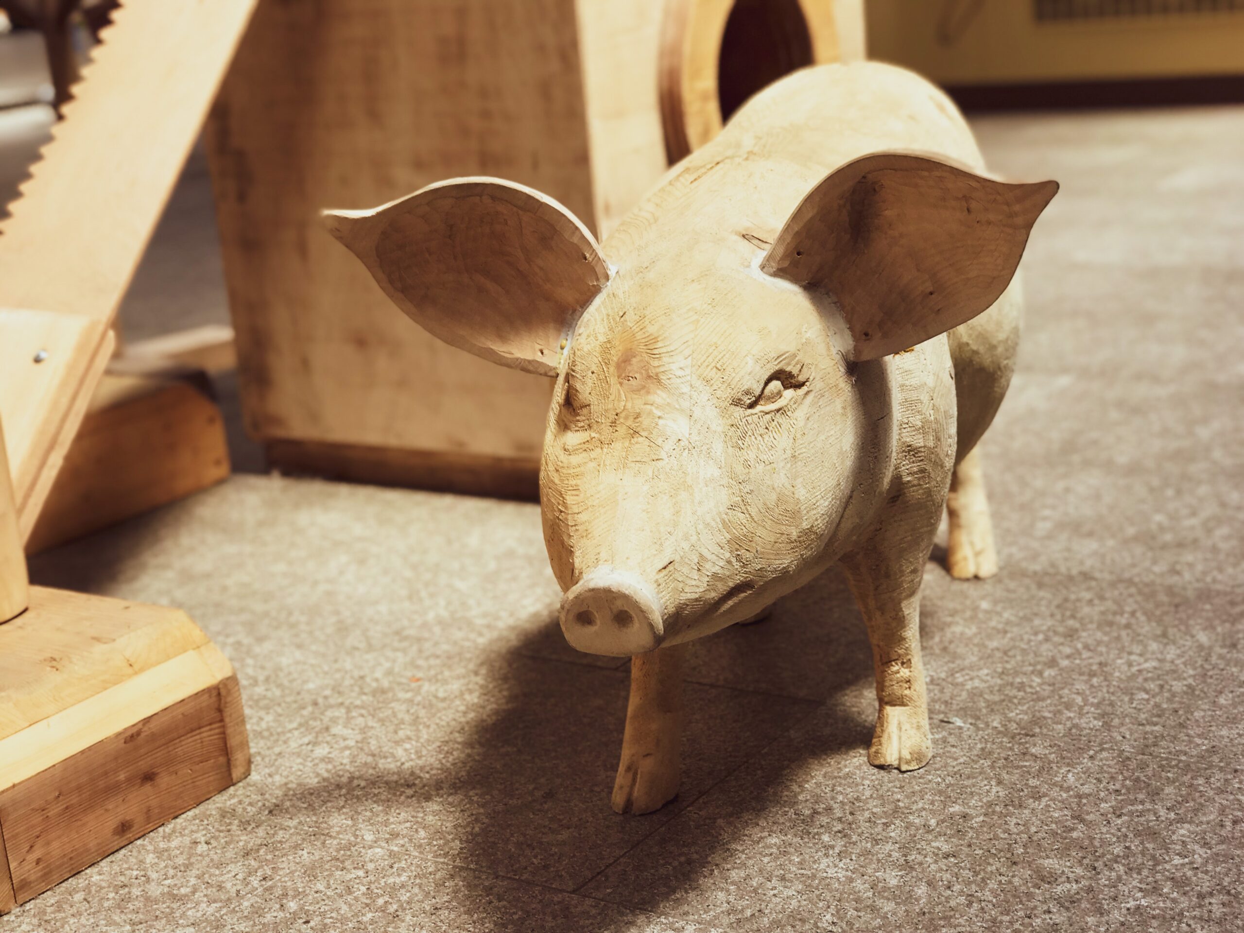Template for Meet the Pig Detail