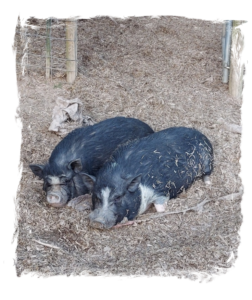 Mama Janet (left) and Mr. Adventure