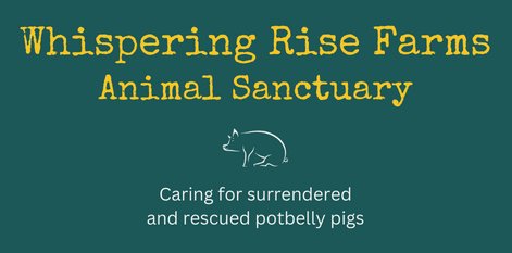 Whispering Rise Farm Animal Sanctuary
