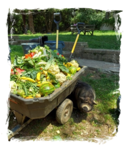 Who's that hiding behind the cart?